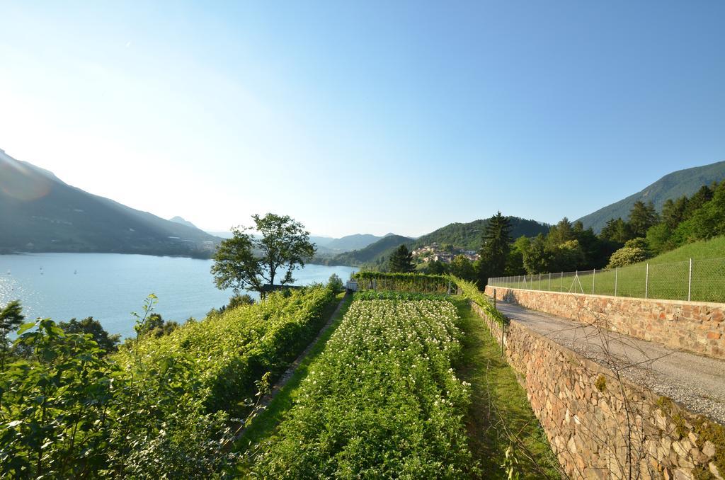 Trentino Appartamenti Oss Tenna Kültér fotó