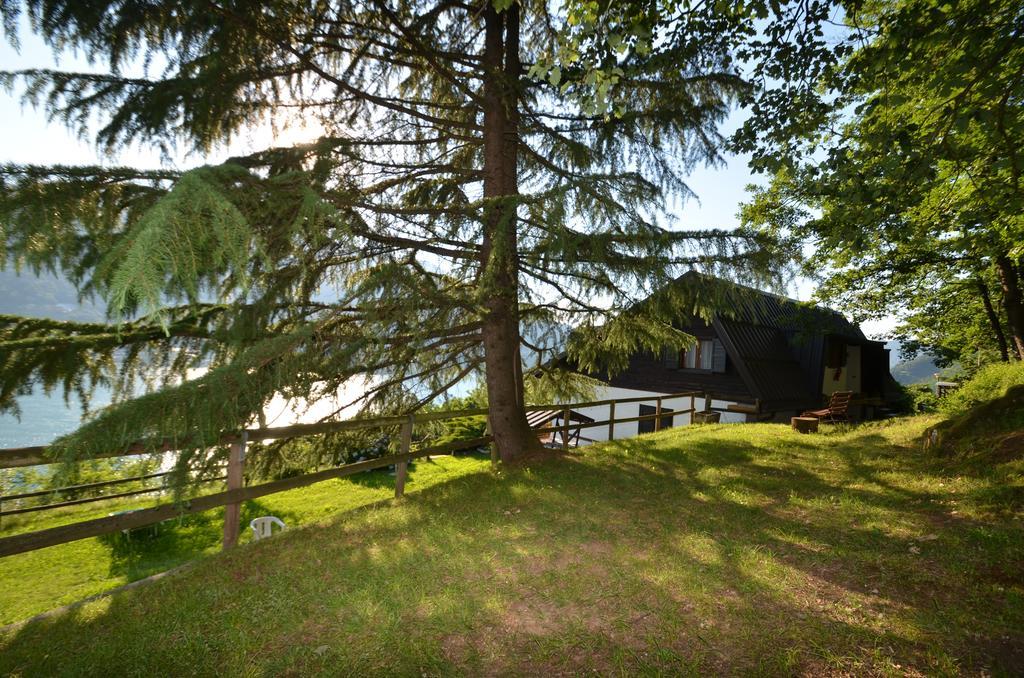 Trentino Appartamenti Oss Tenna Kültér fotó